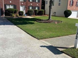 Mark S.'s Lawn Mowing service result