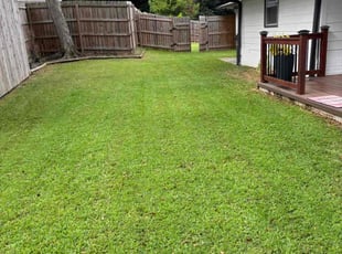 Johnny W.'s Lawn Care service result