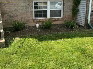 Weeding by Jason Scott for Ahsan S. in Gaithersburg, MD