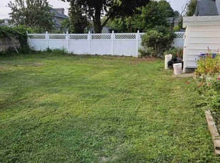 Mickael P.'s Grass Cutting service result