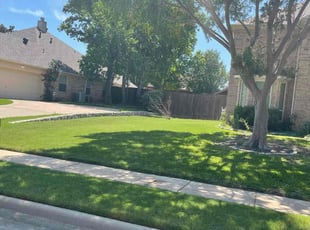 Gregory P.'s Lawn Mowing service result