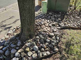 Cleanups by Brian Franz for Clayton J. in Manassas, VA