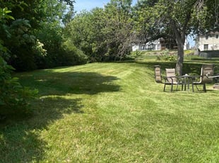 Chineta H.'s Lawn Mowing service result