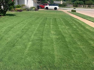 david S.'s Lawn Service service result