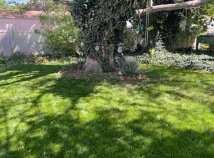 James P.'s Lawn Care service result