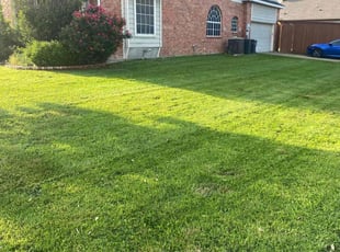 Shameka e.'s Lawn Care service result