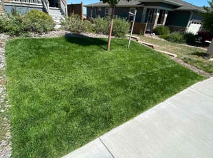Justin D.'s Lawn Care service result