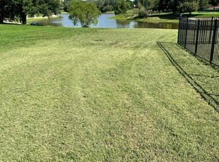 Joseph L.'s Lawn Maintenance service result
