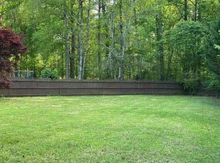 Daniel W.'s Yard Cutting service result