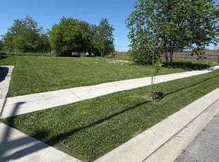 Jocelyn H.'s Lawn Maintenance service result