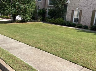 Angel J.'s Lawn Mowing Service service result