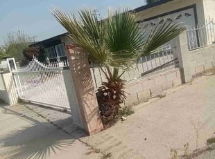Bush Trimming by Brenden Henderson for Samuel M. in Muscoy, CA