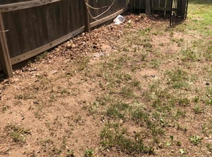 Cleanups by David Sigmon for Monroe L. in Wichita, KS