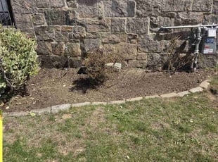 Weeding by Frank Gallo for Denice C. in Uniondale, NY