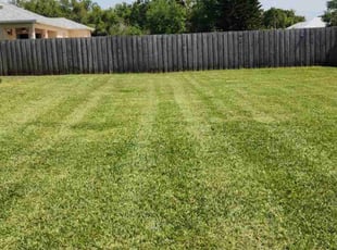 Dora M.'s Lawn Mowing service result