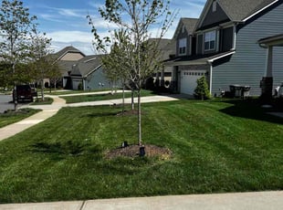 Michael t.'s Grass Cutting service result
