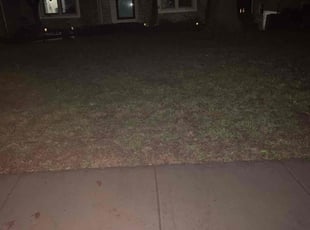 Leaf Removal by Henry Huonker for BreAnna H. in Kansas City, MO