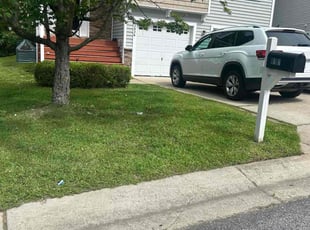 Bush Trimming by Brian Ziegler for Jordan W. in Raleigh, NC