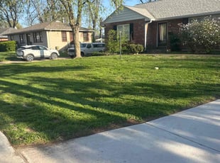 Donna B.'s Lawn Mowing Service service result