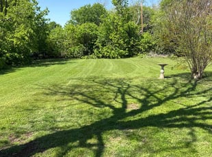 Angela B.'s Lawn Service service result