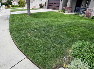 Rola R.'s Grass Cutting service result