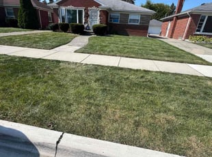 norvell C.'s Yard Cutting service result