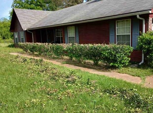 Bush Trimming by Jeff Parker for Irene P. in Jackson, MS