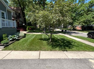 Katy J.'s Yard Cutting service result