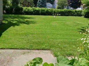 Denise C.'s Lawn Mowing Service service result