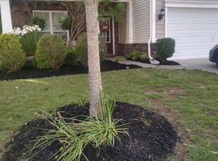Landscaping by Greg-Davis Star-Lanter for Andrea A. in Indian Land, SC