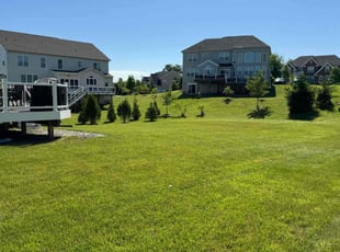 Mario C.'s Lawn Mowing Service service result
