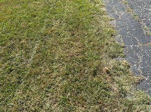 Tj w.'s Lawn Service service result