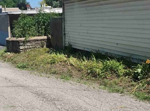 Weeding by Phillip Lopez for Jon C. in Kansas City, MO
