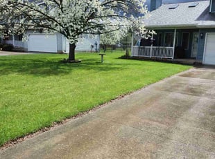 Shane S.'s Lawn Care service result