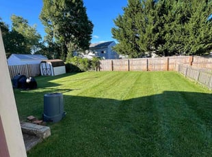 Tammy H.'s Lawn Care service result