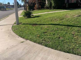 Carl B.'s Lawn Mowing service result
