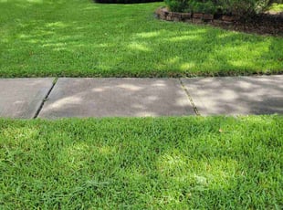 Cedric D.'s Lawn Maintenance service result