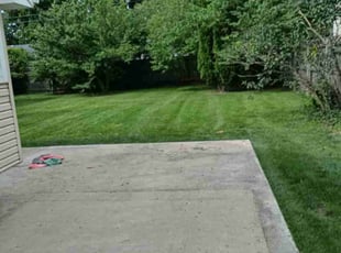Jiahui J.'s Lawn Mowing Service service result