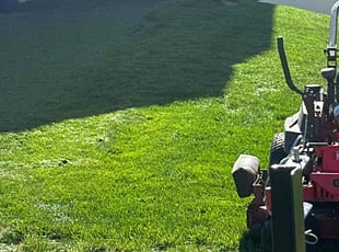 Sarah B.'s Lawn Mowing service result
