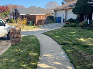 Tonya J.'s Lawn Mowing service result