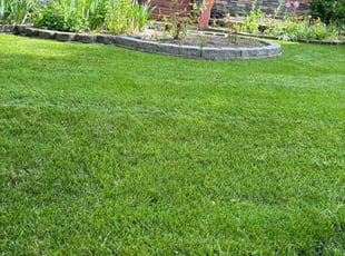 Lori H.'s Lawn Mowing service result