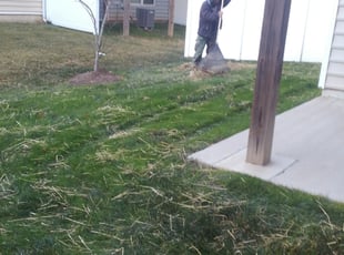 Leaf Removal by Jim Crossett for Edward S. in Chantilly, VA