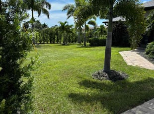 Daniel S.'s Lawn Maintenance service result