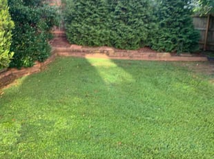 Nikki L.'s Grass Cutting service result