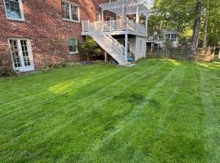 Pamela R.'s Lawn Care service result