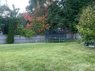 Thomas B.'s Lawn Mowing service result