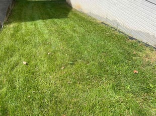 ricardo b.'s Lawn Care service result