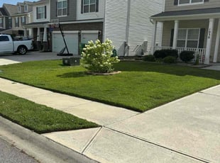 VINCENT G.'s Lawn Care service result