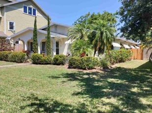 Weeding by Stephen Peffly for Jessica B. in Saint Petersburg, FL
