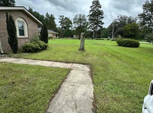 Rene R.'s Lawn Care service result